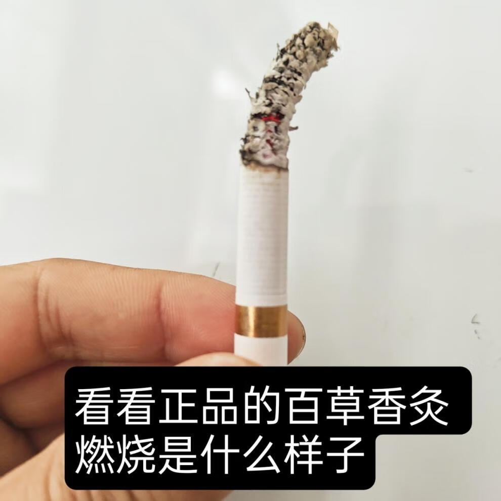 百草香灸李大为古彝百草香灸提l高l免l疫l力养生艾灸排l湿l排l寒散装