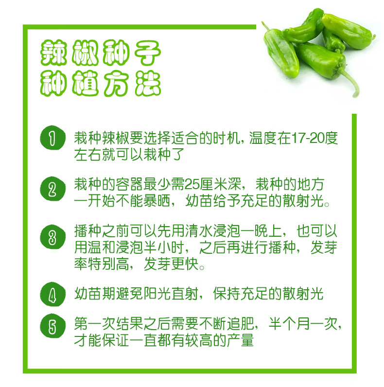 农点赞早熟特大牛角椒羊角椒种籽青辣椒种子尖椒春夏秋四季高产蔬菜