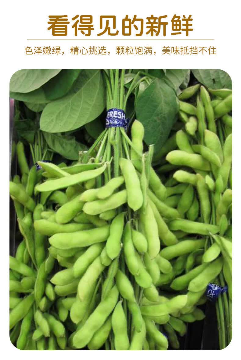 年货农家自种新鲜去壳毛豆仁4袋青豆粒批发速冻生毛豆毛豆米当季黄豆