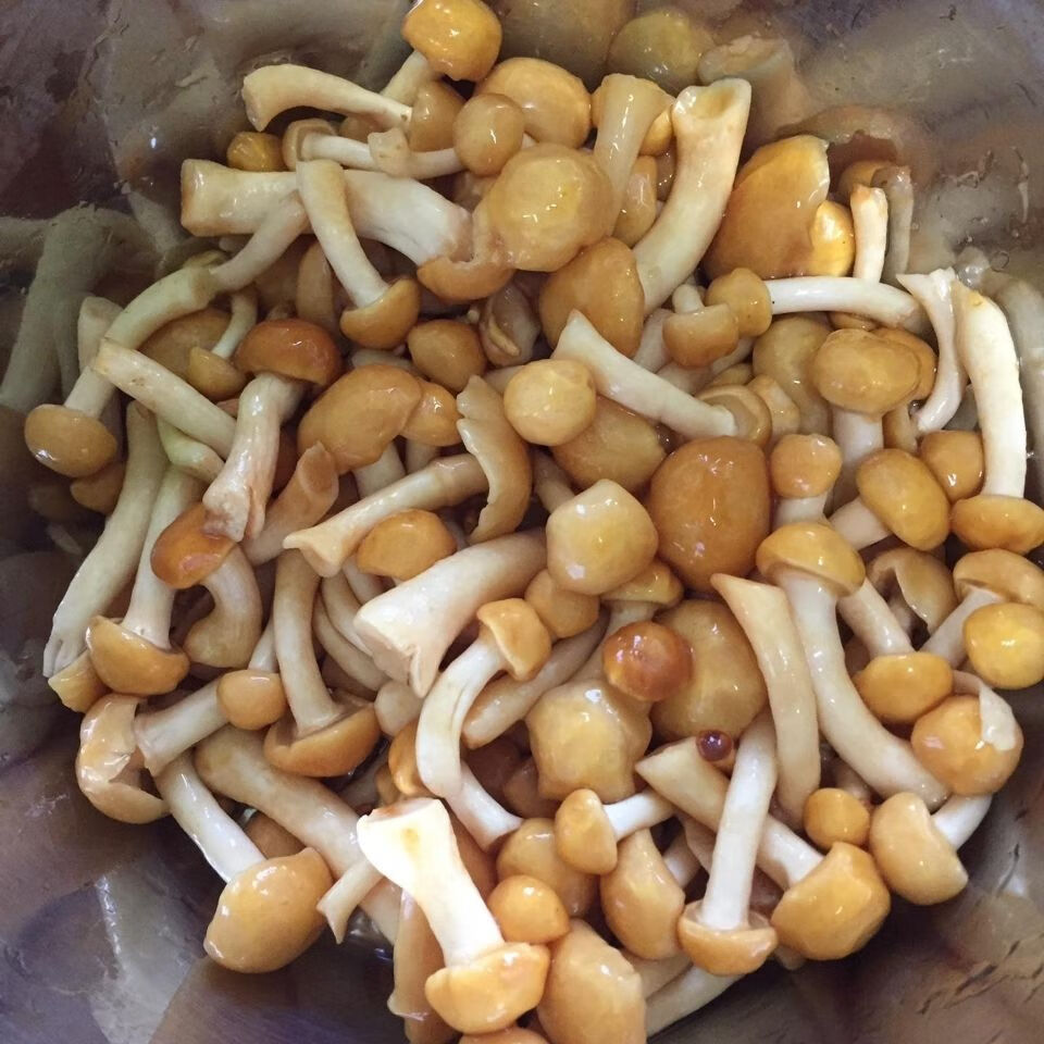 东北特产蘑菇新鲜腌制滑子菇滑菇滑子蘑滑子蘑无水发货一斤冷冻保鲜无