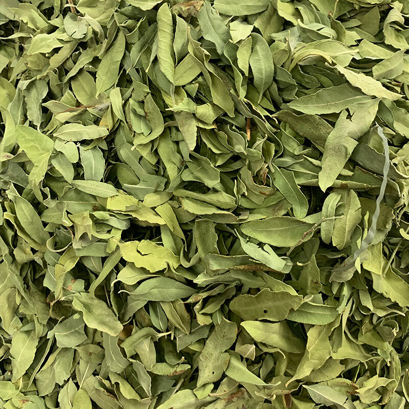 佗迎堂新疆罗布麻叶中药材正宗罗布麻叶新疆野生罗布麻茶叶新鲜500克