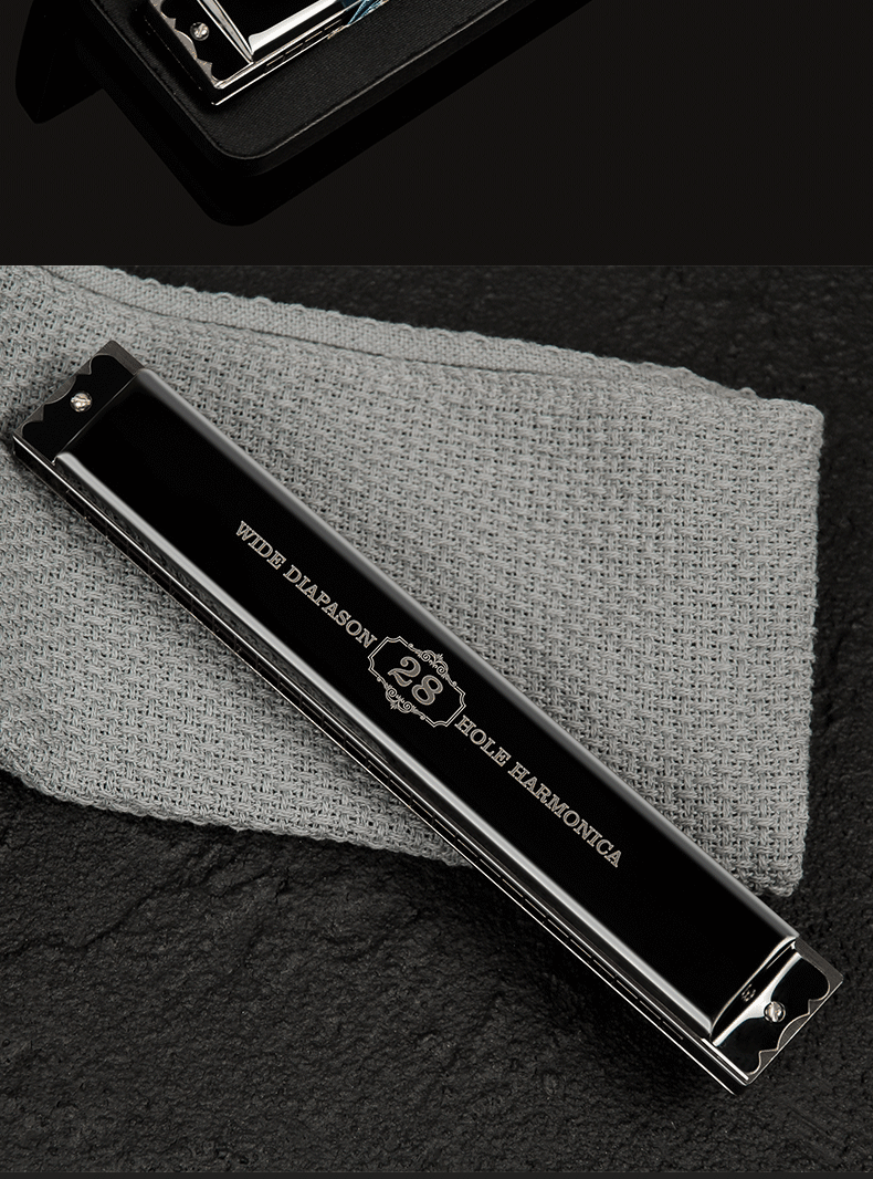 德国音簧天鹅口琴28复音c调重音口琴高级准专业演奏级28孔重音蓝色