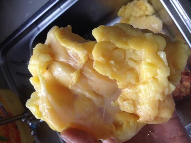 新鲜鸡油冷冻老母鸡油生鸡油黄色老鸡油食堂酒店专用18斤/箱6包 苏浙