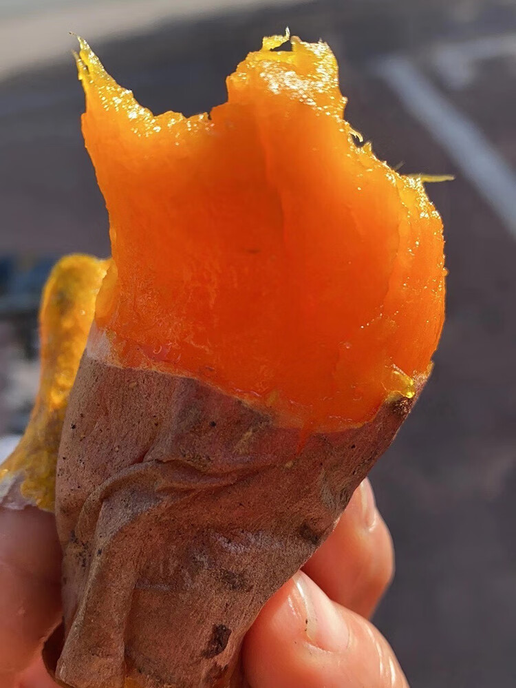 卢龙沙地蜜薯糖心红薯新鲜秦皇岛烟薯25号红心番薯板栗地瓜农家 中果