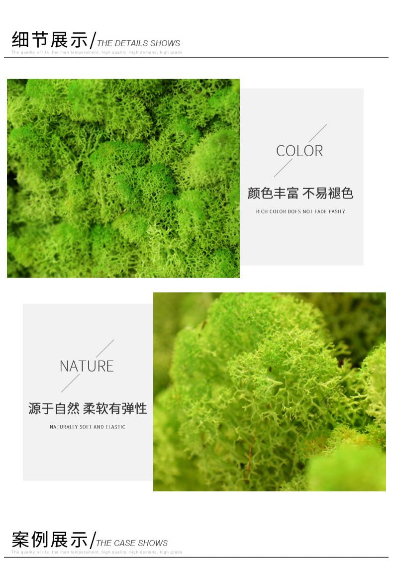 仿真白发苔藓植物绿色植物墙绿植装饰青藓景观造景材料a款500g鹿蕊藓