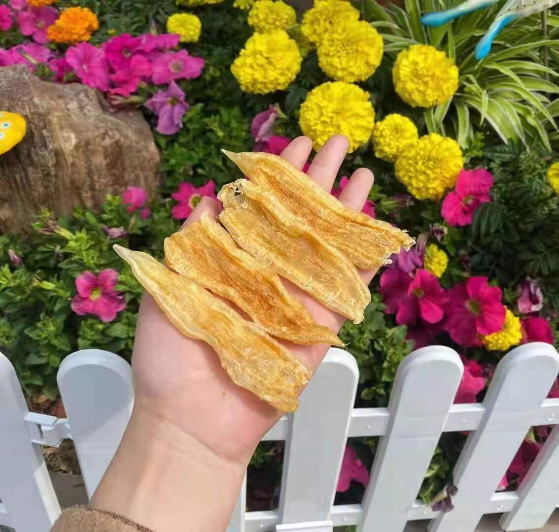 北海双背公鳘鱼胶花胶干货胶质丰富对皮肤好孕妇滋补送礼佳品 70头