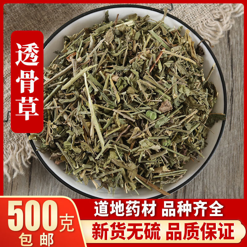 野生透骨草珍珠透骨草透骨草粉泡脚新鲜批发批量咨询