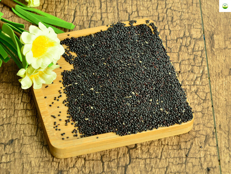 苋菜种子红圆叶苋菜尖叶柳叶苋菜阳台盆栽500克大田种植菜种籽 红苋菜