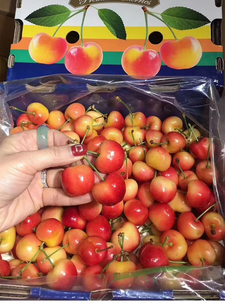顺丰黄色车厘子原箱礼盒装智利雷尼尔黄樱桃进口孕妇水果高端送礼500g