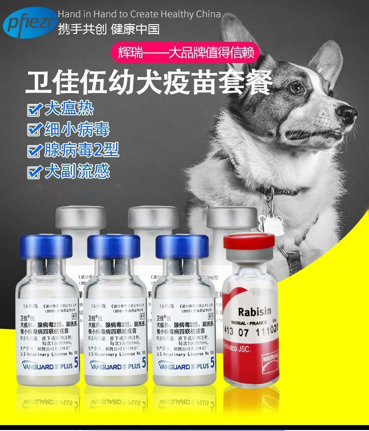 美国卫佳伍卫佳捌8联八联狗狗疫苗瑞比克幼犬育苗oimg小狗针 1针五联