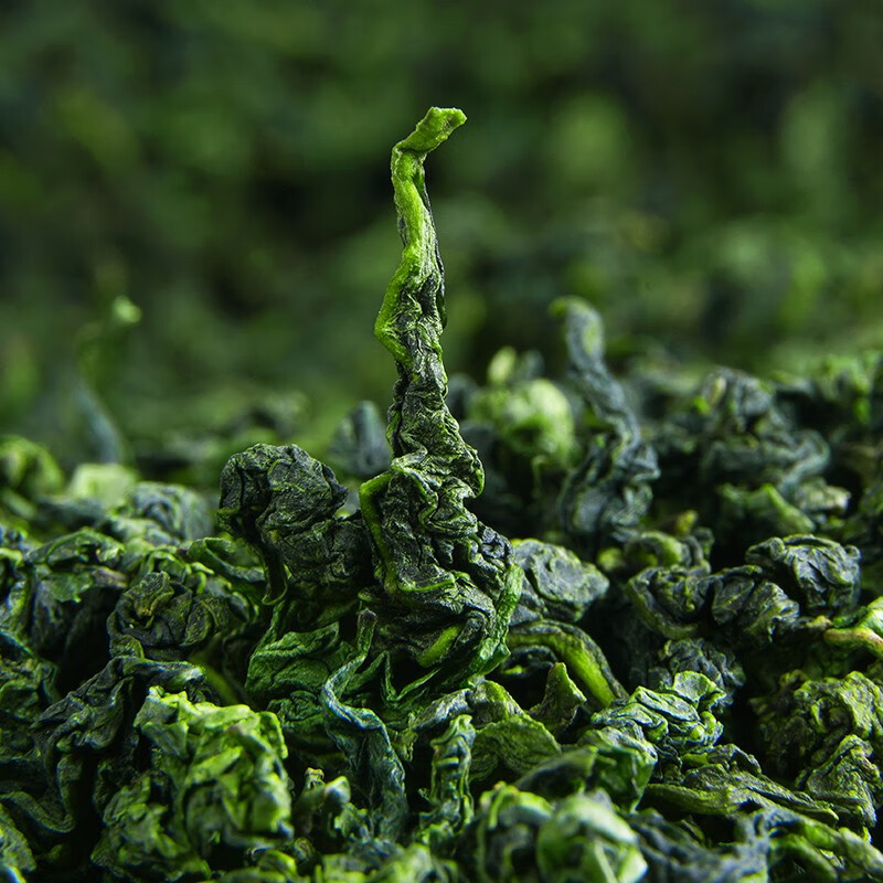 陈一凡 金观音茶500g 龙涓举源产区特级2022新茶春茶 安溪高山茶叶