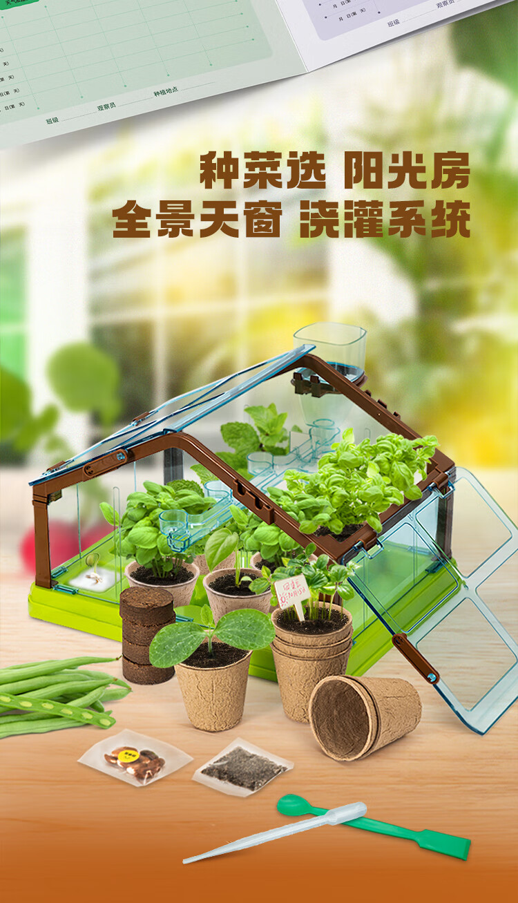 儿童迷你种植阳光房玩具植物套装盆栽灌溉观察窗手工diy610岁科学小