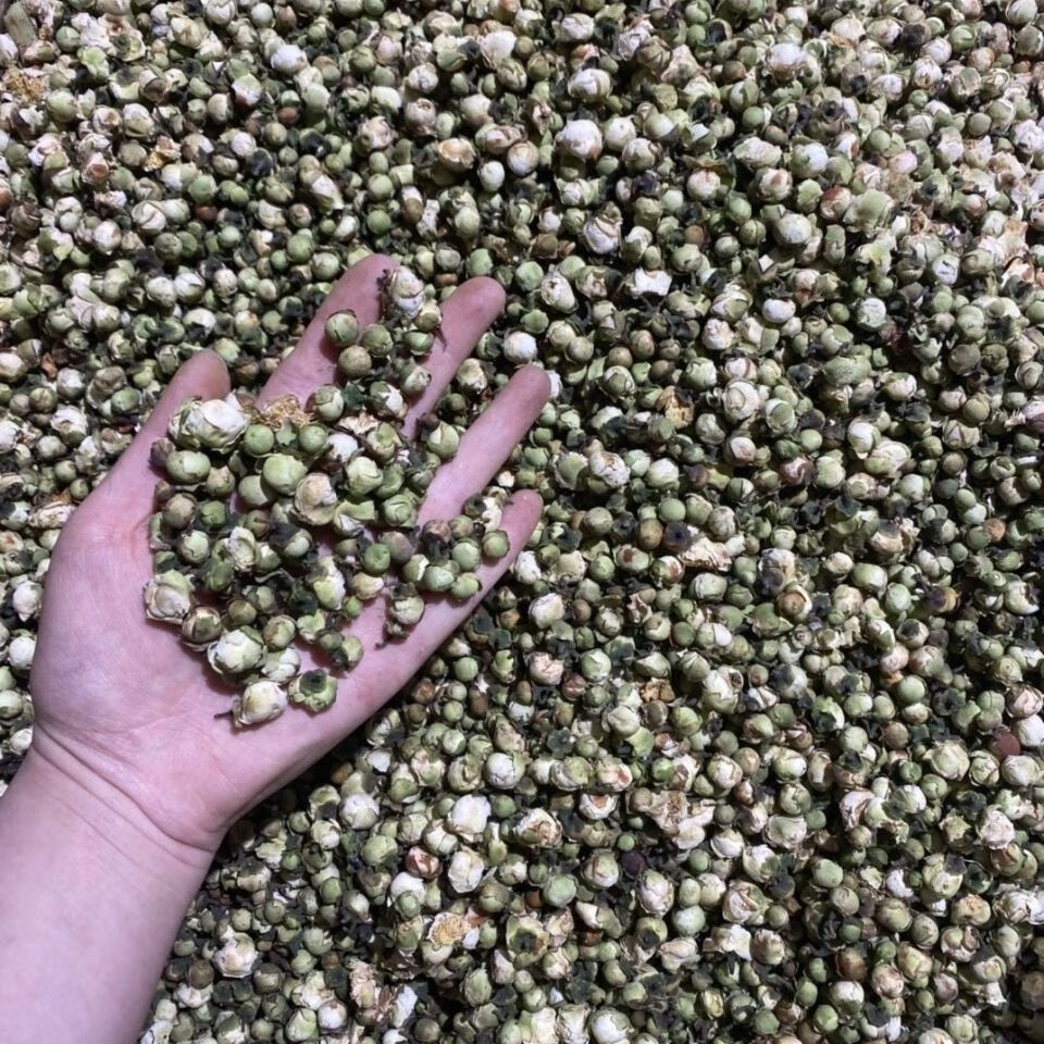 晒干天山雪莲 雪莲花山茶花新货中药材天然花草茶 雪莲花茶 雪莲花