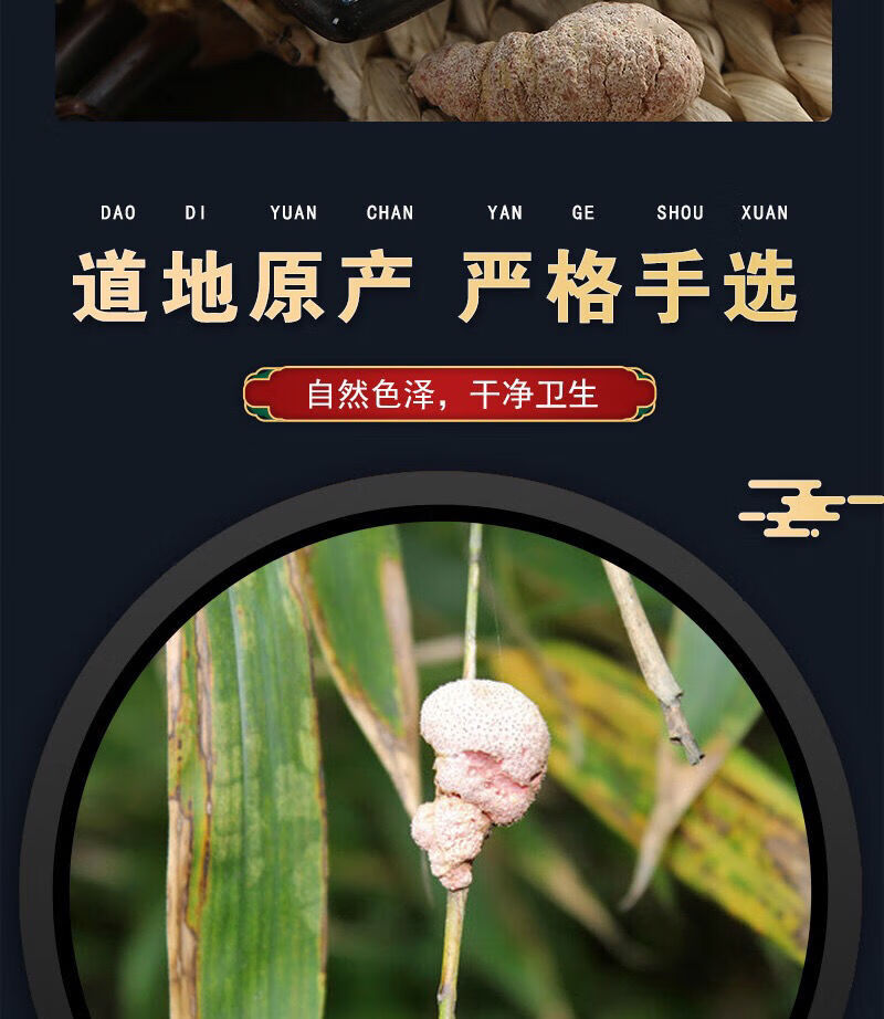 竹黄中药材竹花竹茧赤团子苦竹竿花泡酒阿竹黄泥螺野生正品竹花250克