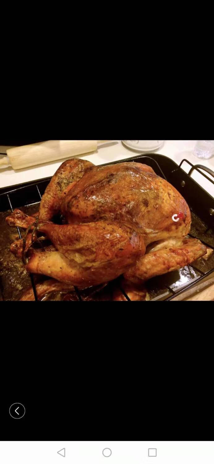 散养新鲜火鸡肉整只现杀6到11斤火鸡肉感恩火鸡圣诞火鸡非活体 火鸡肉