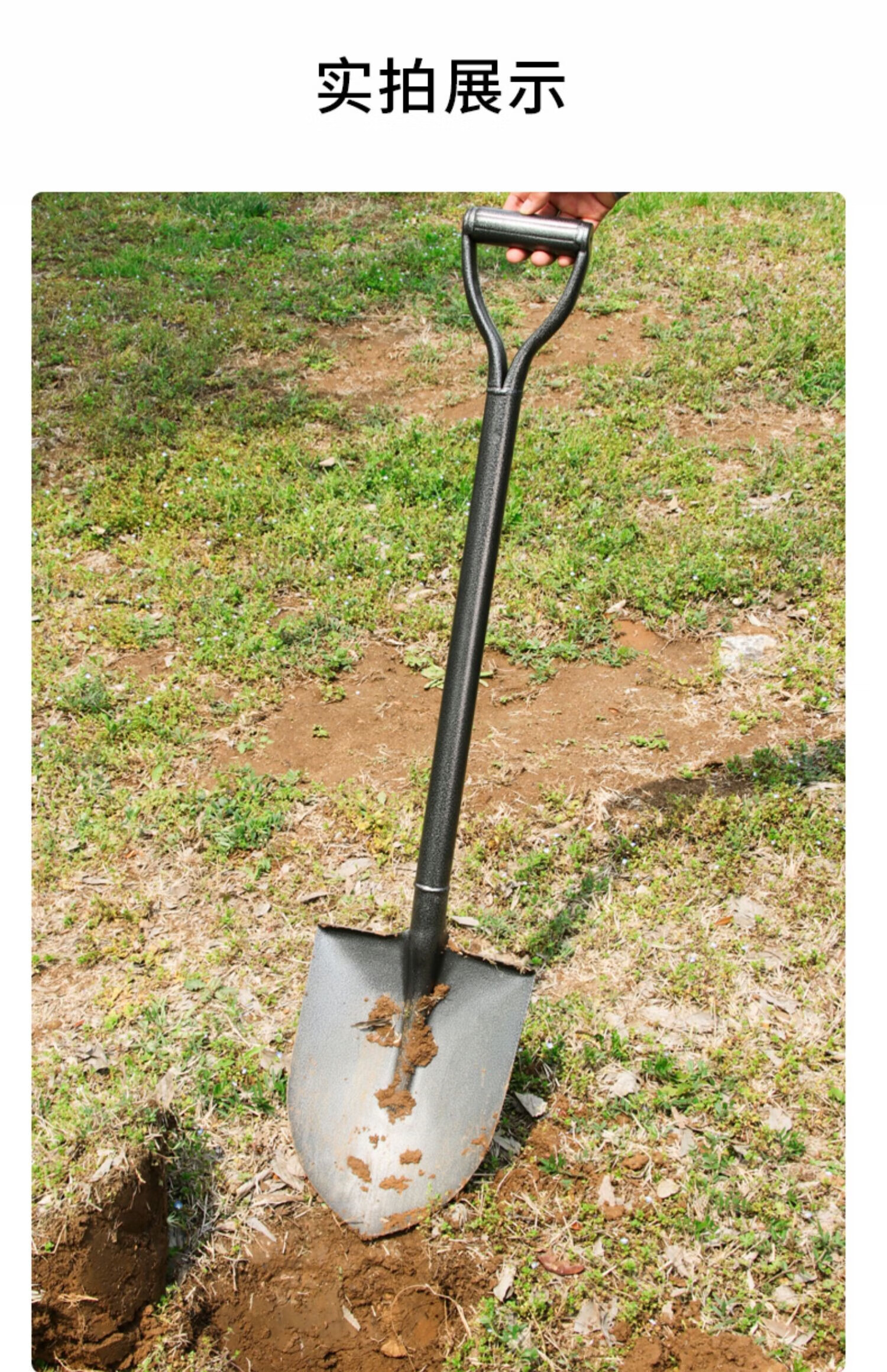 铁锹农用小铁铲子户外挖土推雪铲园艺种花工具家用铁锨种菜神器 尖头