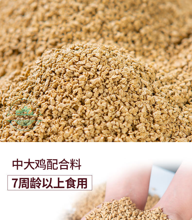 小鸡饲料雏鸡饲料小鸡中鸡育肥饲料鸭鹅鸟类孔雀鸵鸟全阶料赤凰 大鸡