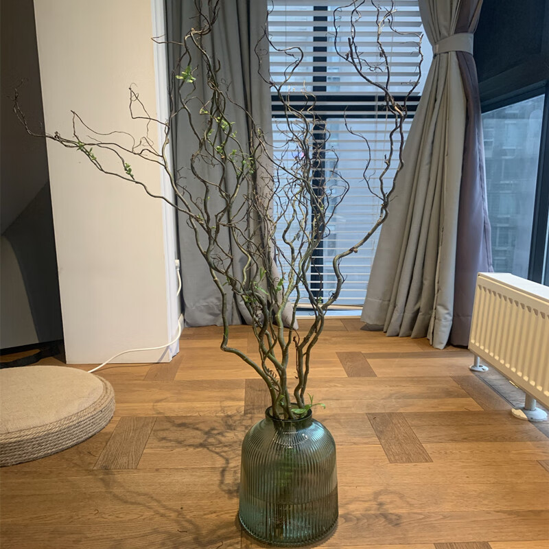 龙柳大型水培植物鲜枝四季好养树枝装饰室内庭院水养鲜切绿植造景不含