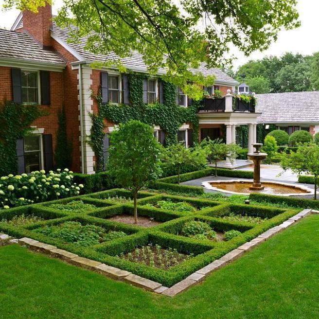 草坪草籽地毯草种籽四季常青矮生绿化草坪种子高档庭院草皮护坡 进口