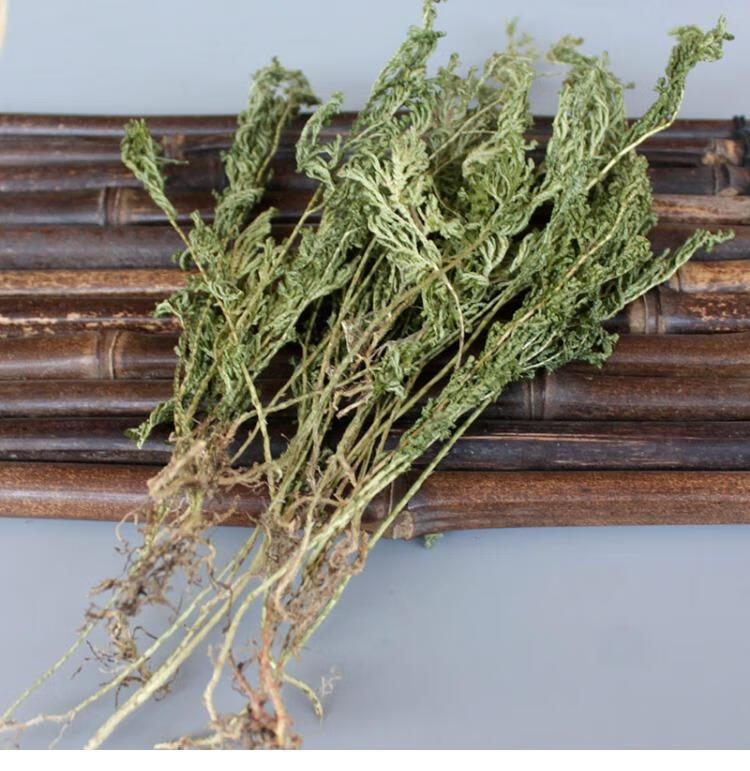 有仁堂新货石上柏250克中草药地侧柏 梭罗草 地梭罗金龙草深绿卷柏