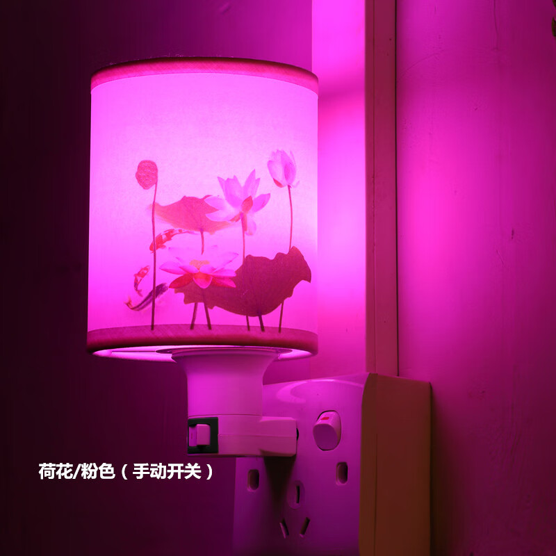 led浪漫情趣插电小夜灯卧室床头插座台灯夫妻情侣酒店