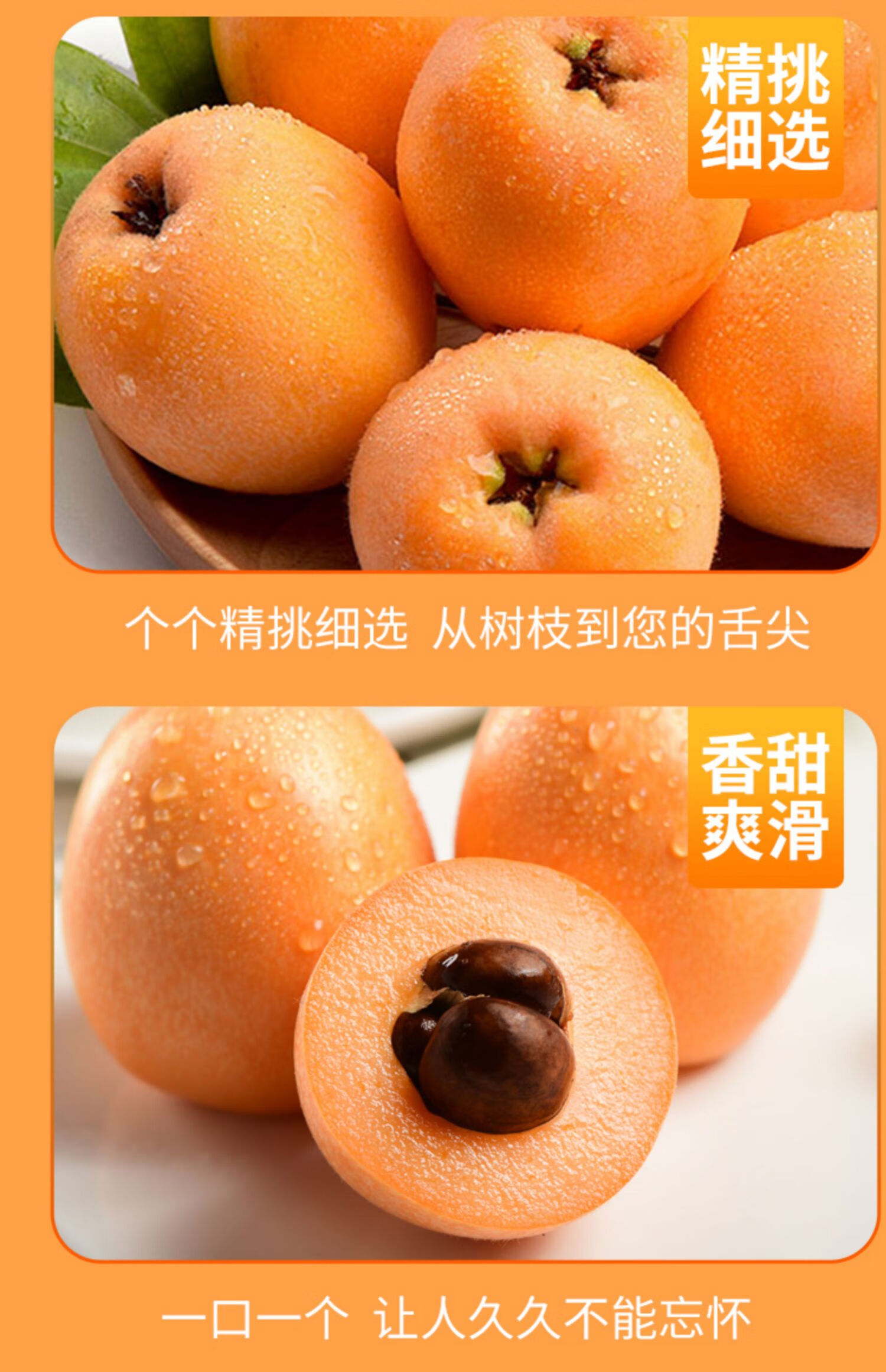 四川米易枇杷单果1525g新鲜水果五星果现摘当季整箱3斤51000g