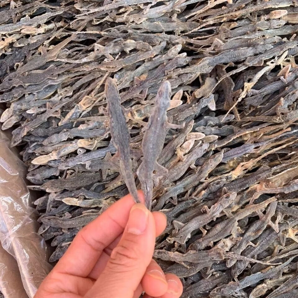 中药抓配抓道地药材另有中药材天龙壁虎干守宫代磨粉 壁虎粉粉 100克