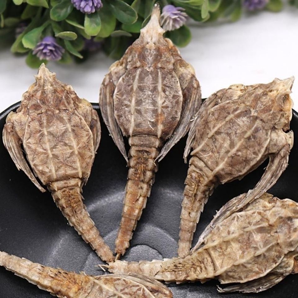 伟博大海燕干货海产海麻雀煲汤泡酒料中药材搭配海龙泡酒大个100克