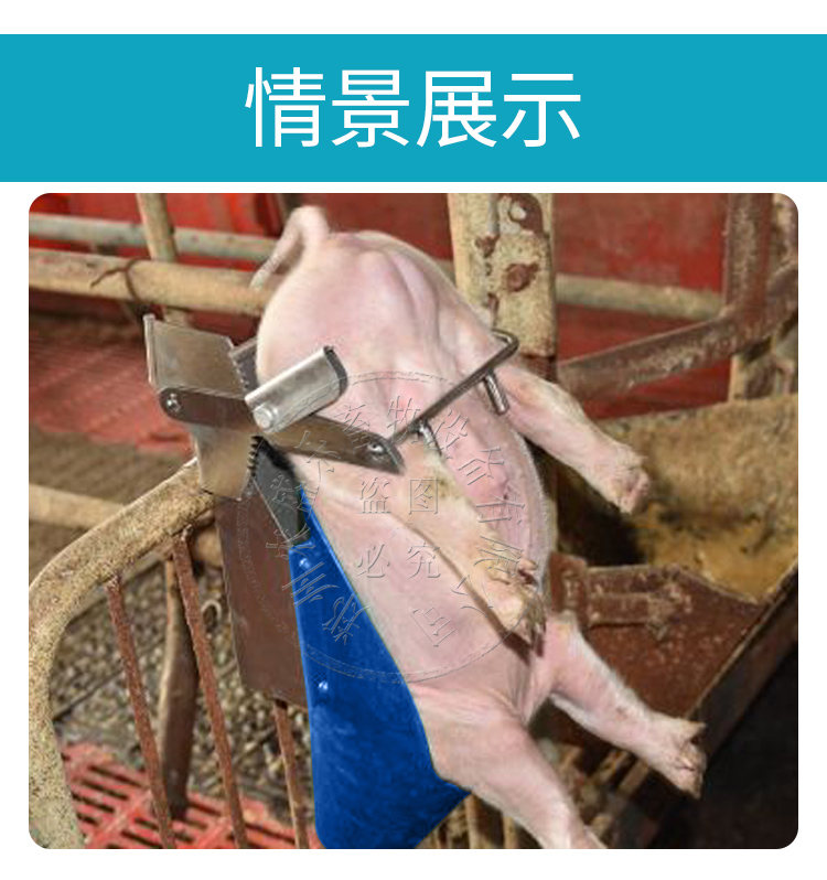 倒立式阉猪器阉割架小猪阉割器不锈钢仔猪用阉猪器阉割刀阉割工具
