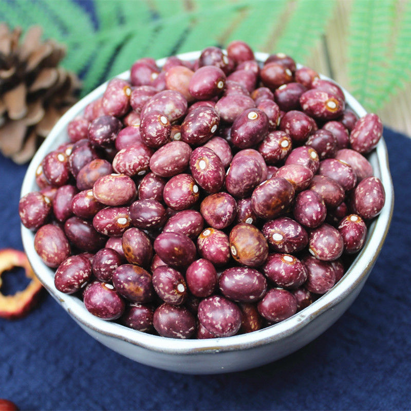 2021年金丝豆云南农家自产红花豆孔雀豆芙蓉豆雀蛋豆芸豆红饭豆新金丝