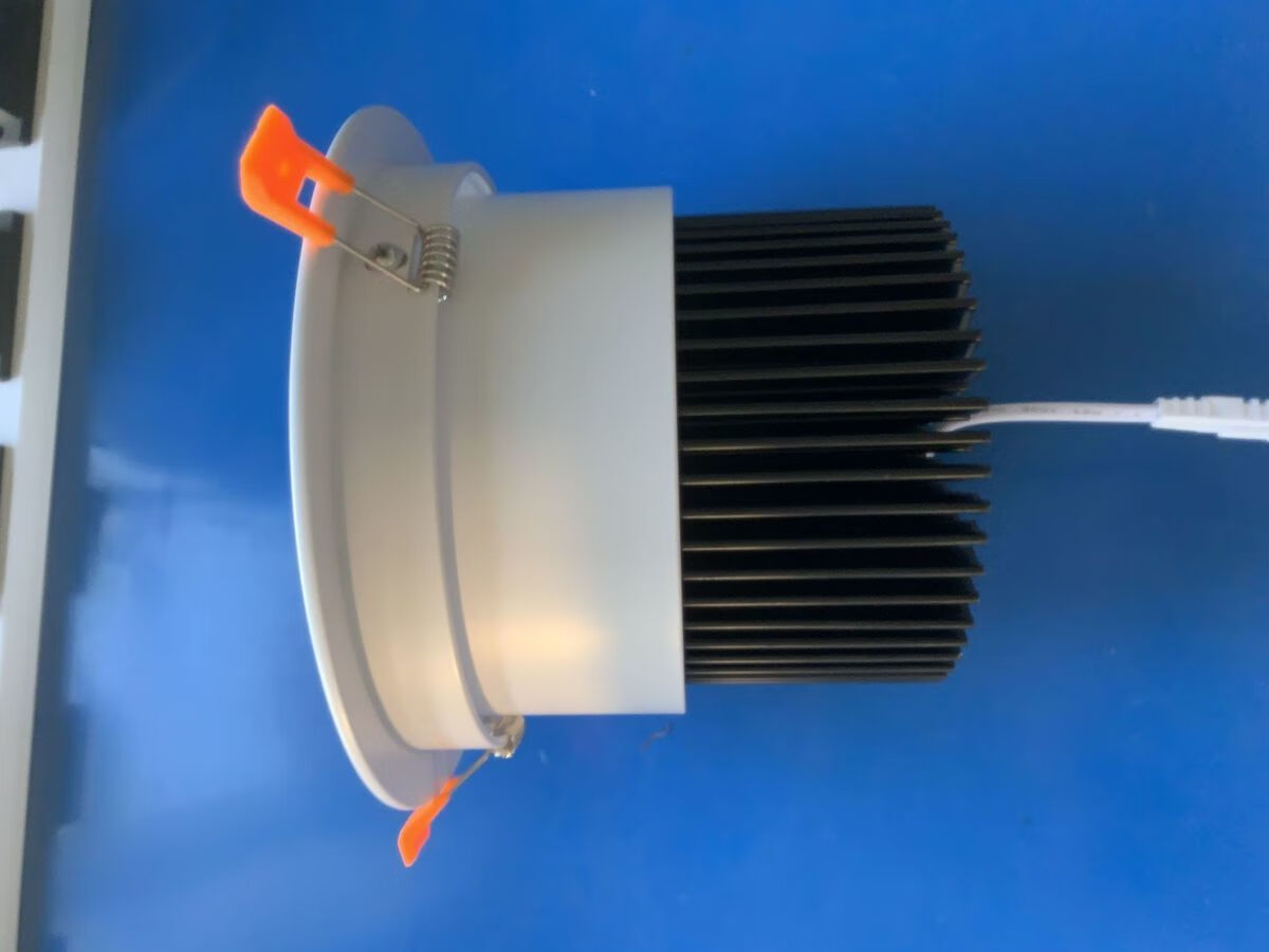 led生鲜灯嵌入式天花射灯猪肉超市水果蔬菜熟食商场专用摇头射灯sn