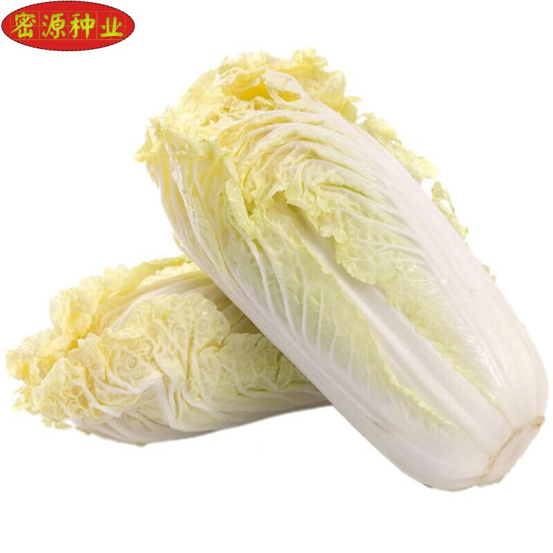 娃娃菜1克(5包) 原裝【圖片 價格 品牌 報價】-京東