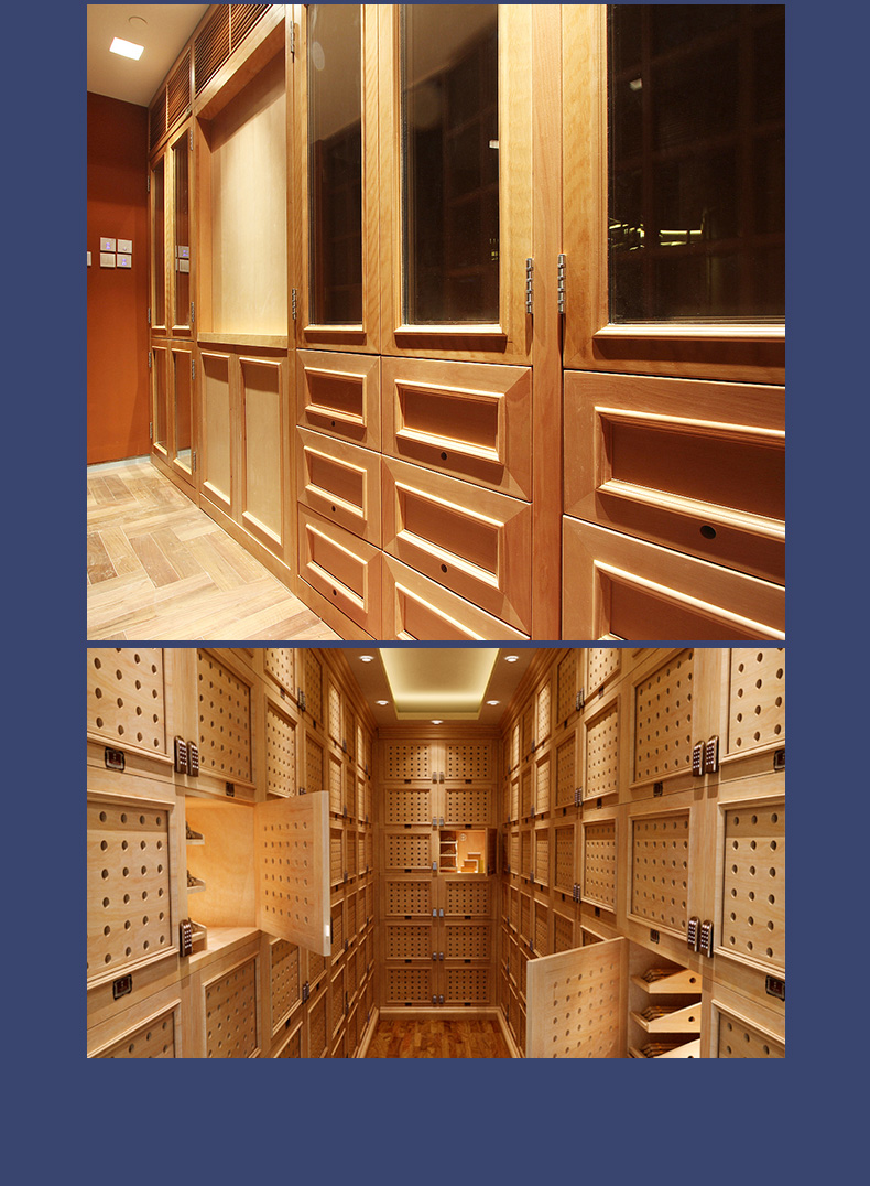 雪茄柜红酒柜私人定制德国智能恒温恒湿不锈钢非标定制雪茄红酒柜家用