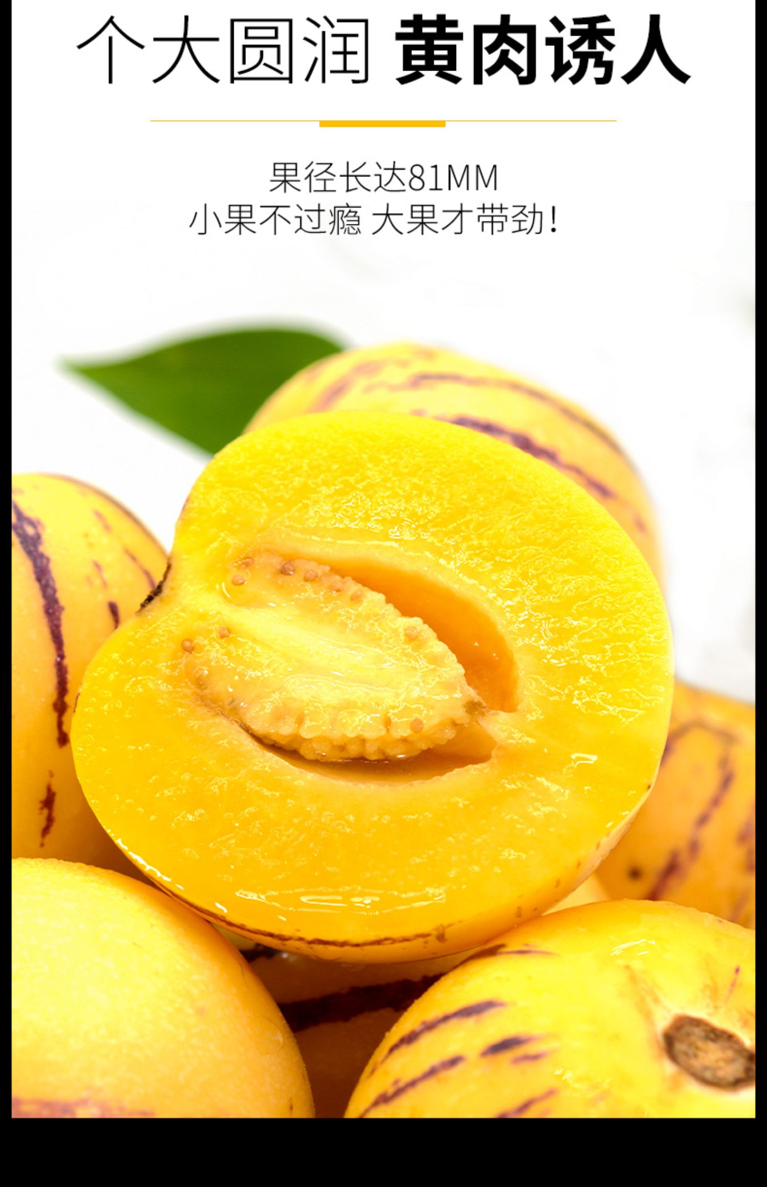 自然熟圆果云南石林人参果新鲜10斤特大果孕妇水果黄肉人生果5斤圆果