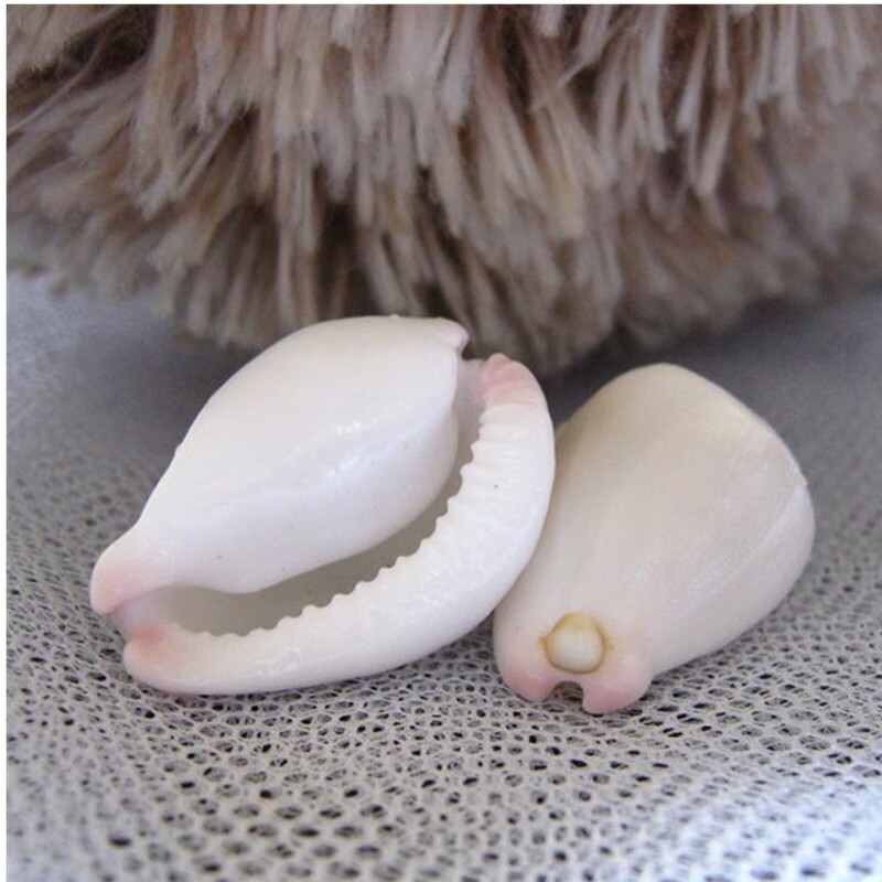 蓝海精灵 天然海螺 2cm精品白玉兔螺标本宝螺 精品