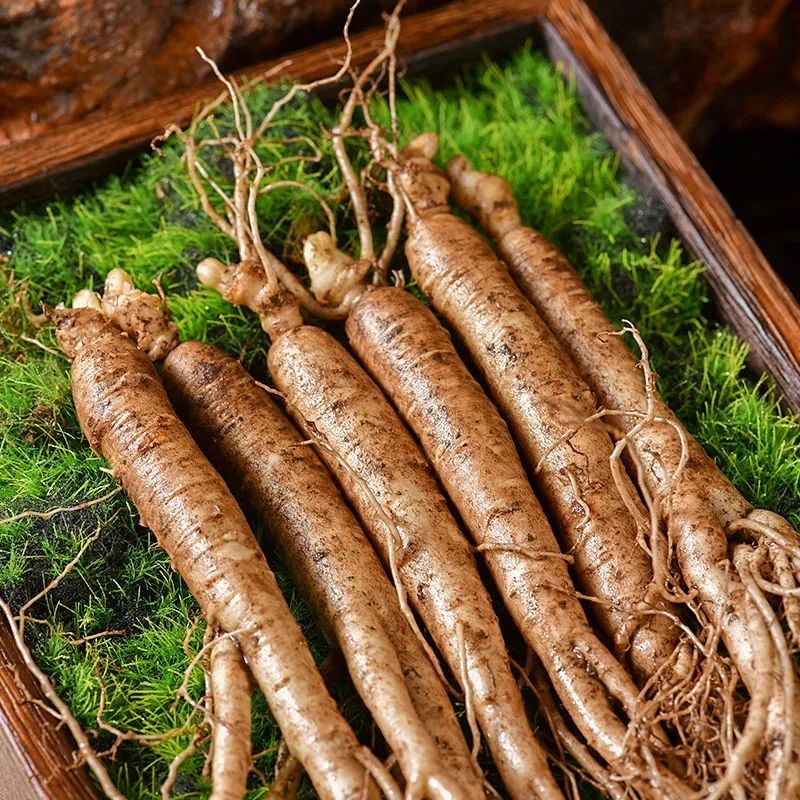 十年新鲜人参野山参长白山人参鲜参带土现挖现卖泡酒煲汤 十年参250克