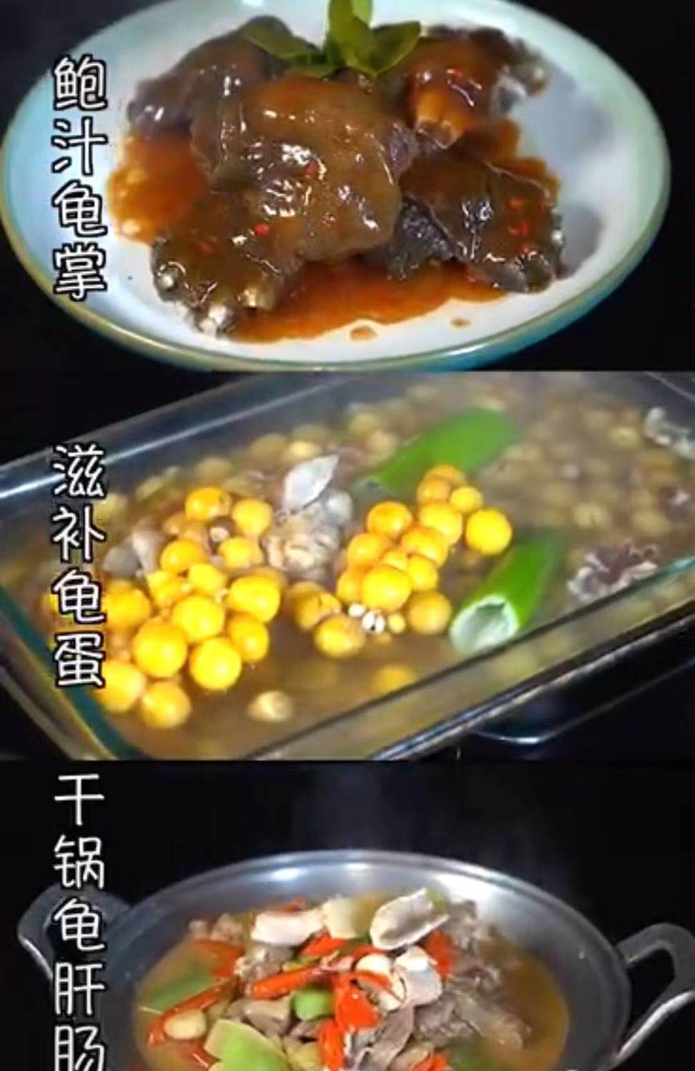 斯柏克鳄鱼龟肉食用鳄龟大型鳄龟活物食用鳄龟肉北美鳄龟观赏鳄龟- 9