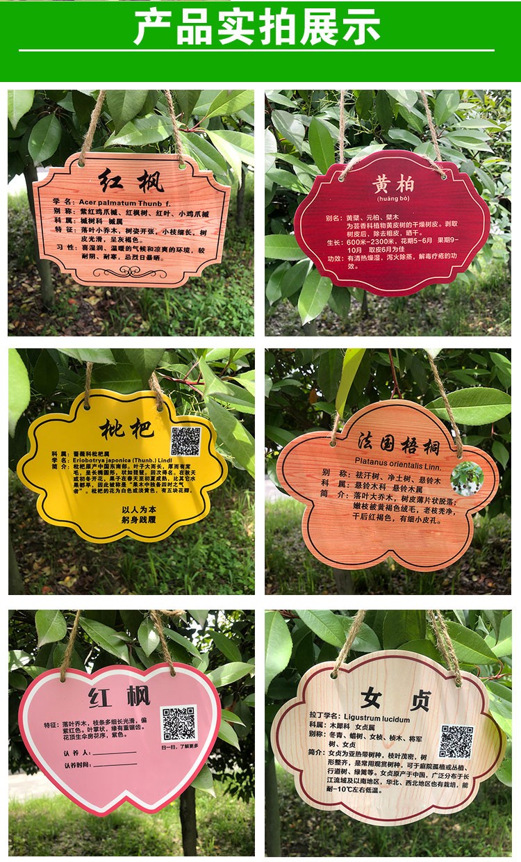 亚克力花草悬挂树牌定制植物标识牌绿化树木介绍挂牌园林指示牌15cmx