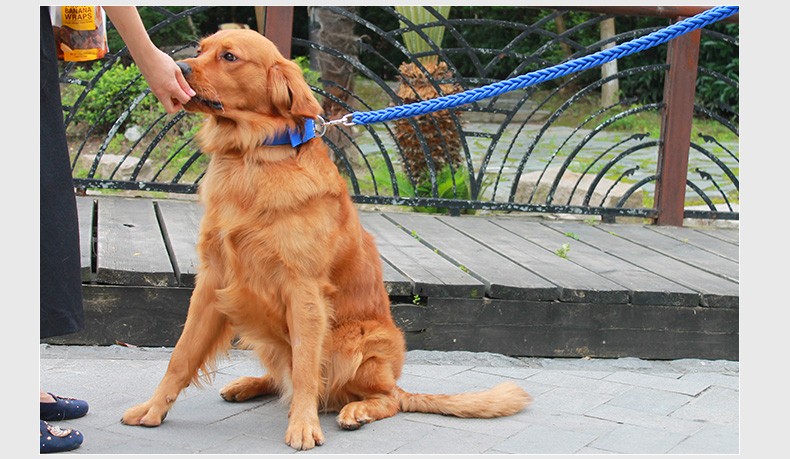 新品精选栓狗绳狗狗牵引绳中大型犬宠物狗链子项圈金毛萨摩耶哈士奇