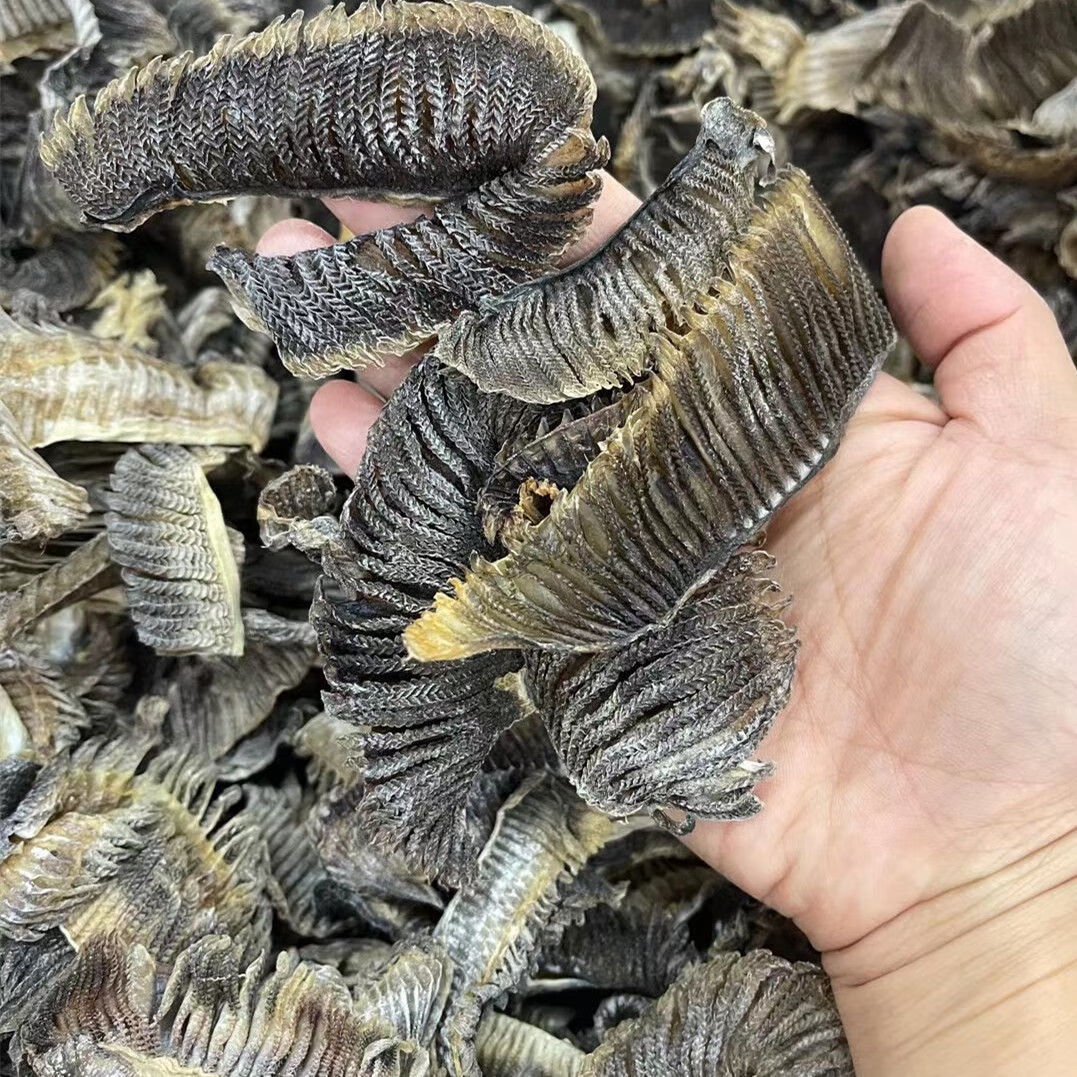 伟博膨鱼鳃干货精选朋鱼腮彭鱼鳃50克鱼鳃干货老人孕妇滋补清热鹏鱼腮