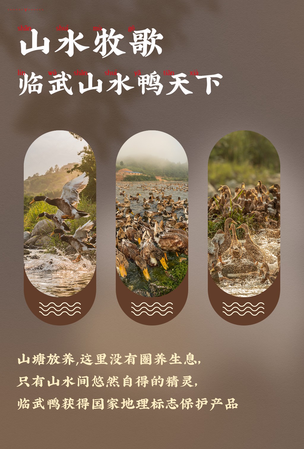 【舜华】临武鸭送礼休闲零食小吃熟食酱板鸭,腊香鸭,手撕酱板鸭186g