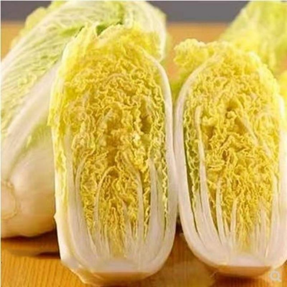 【京鲜达】娃娃菜小白菜农家自种黄心娃娃菜火锅涮菜时令蔬菜 3斤