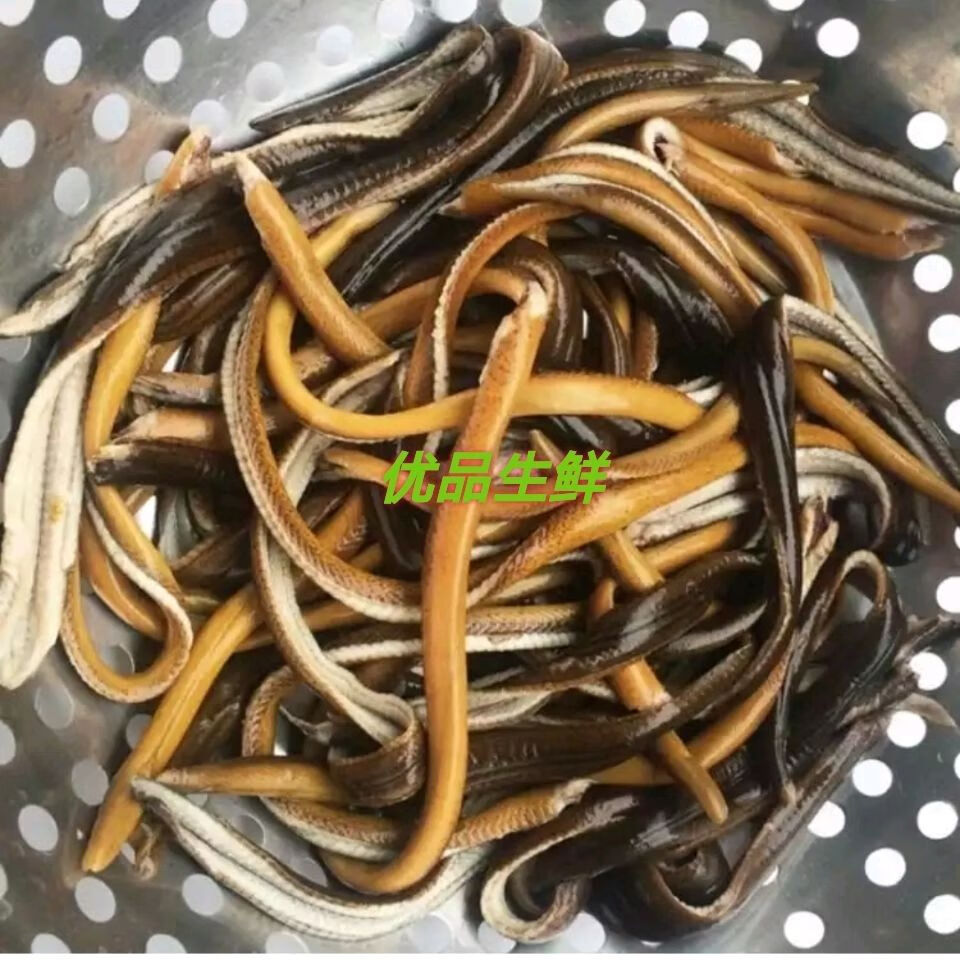 黄鳝丝长鱼丝无骨黄鳝片新鲜活鱼现划小黄鳝软兜丝去骨黄鳝 1斤装【去