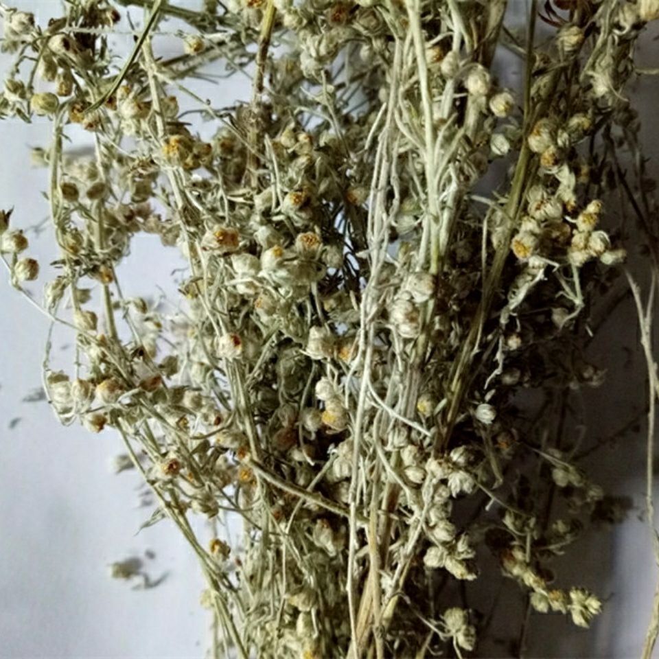 中药材小白蒿 野生小白蒿 白蒿 冷背小白蒿 50克【图片 价格 品牌