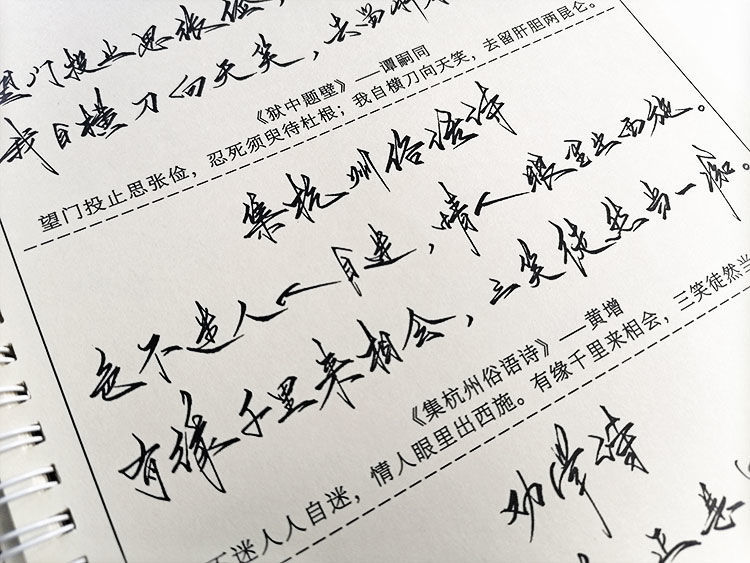 启画堂 古诗词行草书法狂草字帖手写体大学生钢笔硬笔临摹霸气练字帖