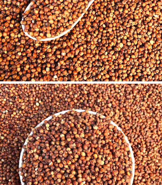 5斤 正宗东北高粱【2021】【图片 价格 品牌 报价】-京东