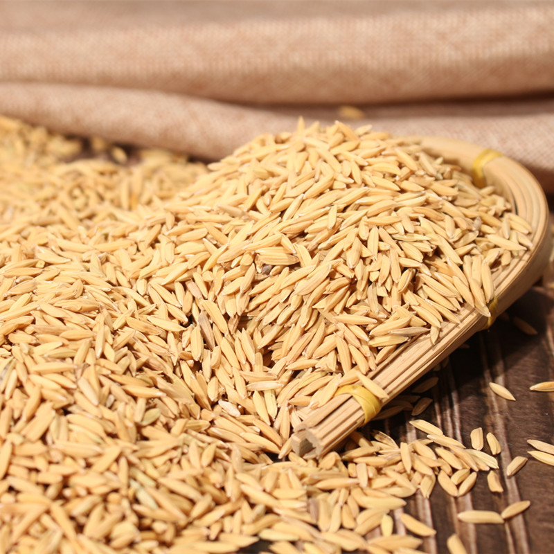 丝苗米稻谷2020年香米晚谷带壳稻子农家种植新鲜自碾米水稻谷1吨