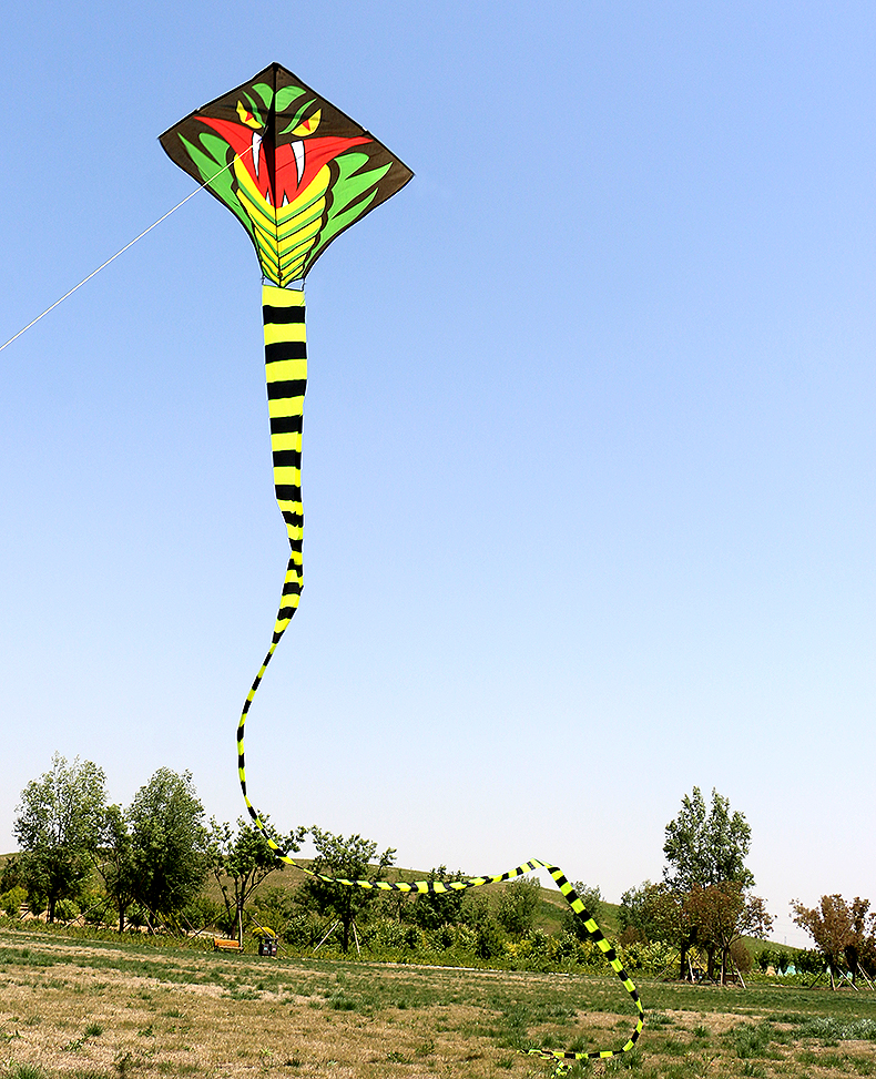 风筝潍坊恒江大蛇青蛇成人巨型长尾老人9米15米蛇风筝线轮放飞9米青蛇