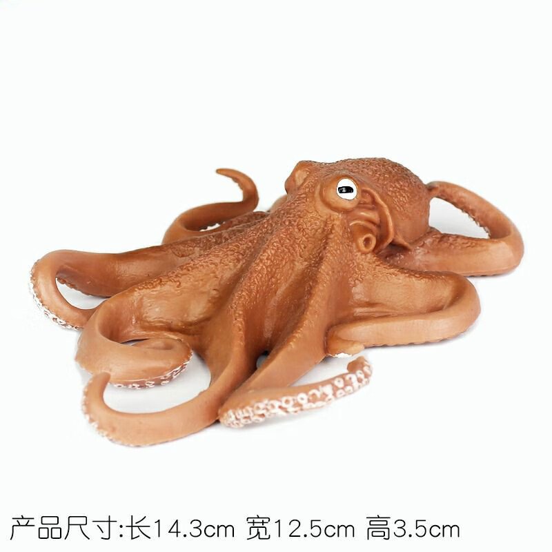 模型仿真海洋生物海底鱿鱼玩具章鱼动物模型男孩生日礼品大王乌贼小号