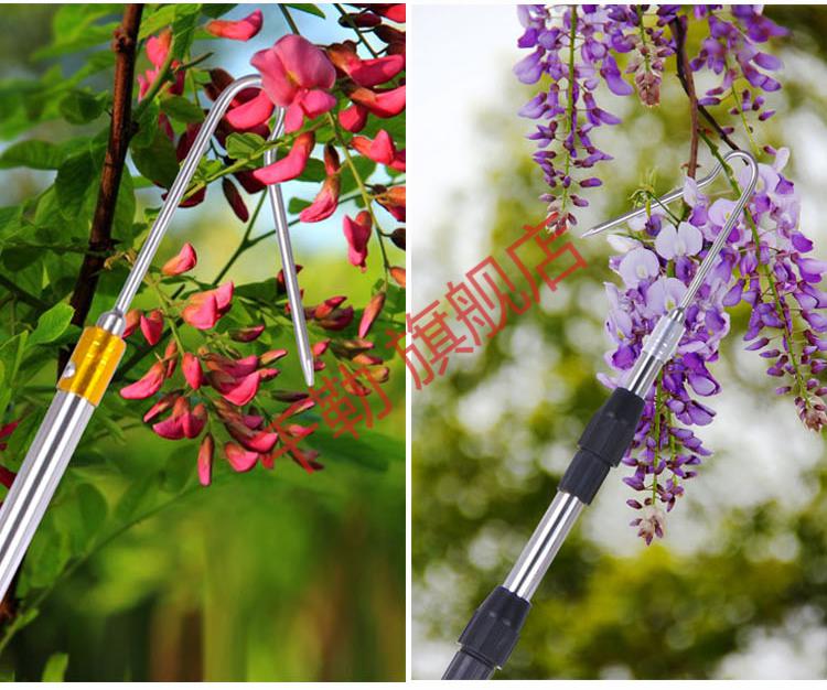 香椿采摘器 摘香椿槐花钩子不锈钢伸缩采摘杆多功能采摘香椿槐花工具